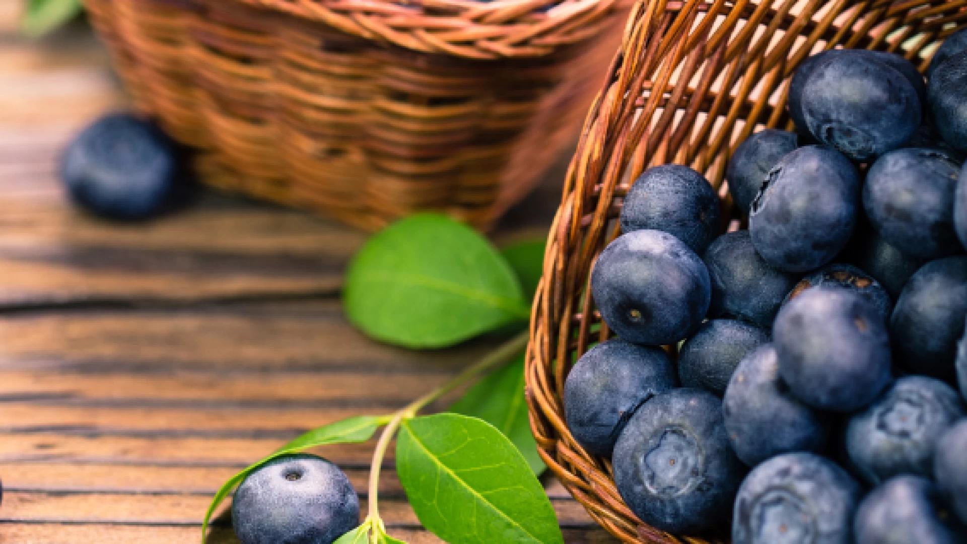 Ricette ai mirtilli golose e salutari!